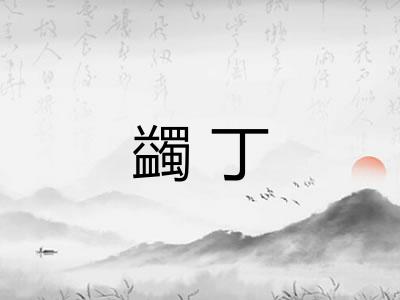 蠲丁