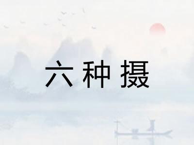 六种摄