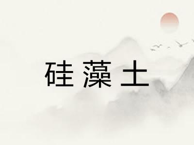 硅藻土