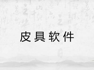 皮具软件