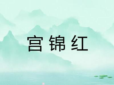 宫锦红