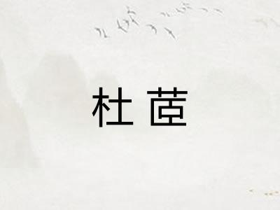 杜茝