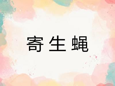 寄生蝇
