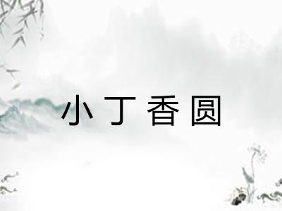 小丁香圆