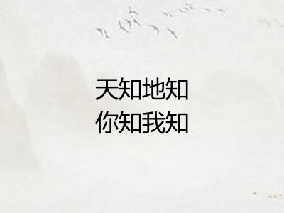 天知地知你知我知