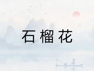 石榴花