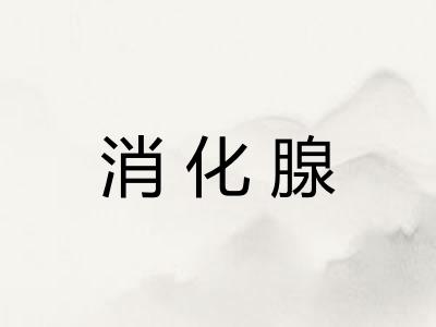 消化腺