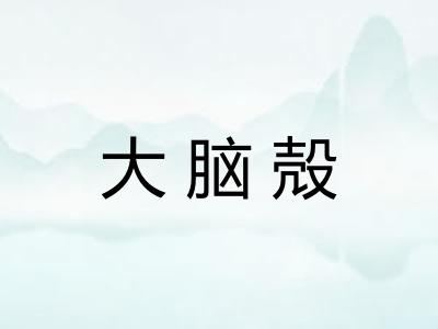大脑殻