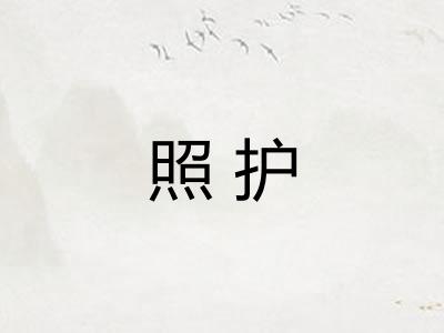 照护