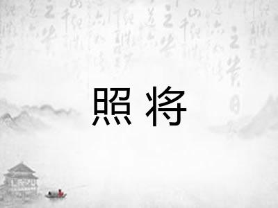 照将