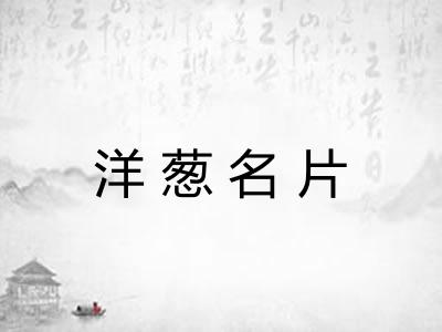 洋葱名片