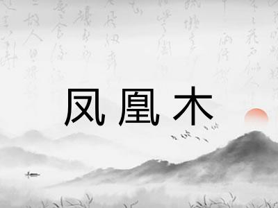 凤凰木