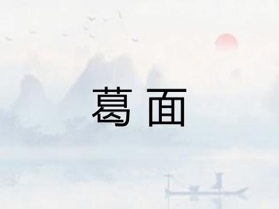 葛面