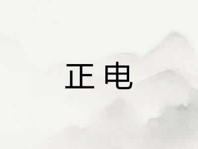 正电