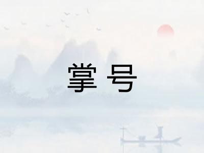 掌号