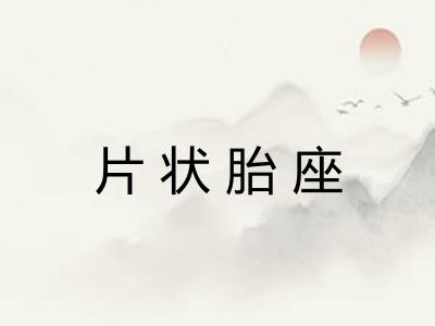 片状胎座
