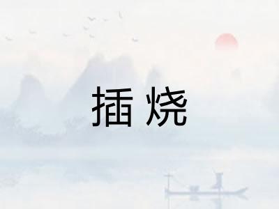 插烧