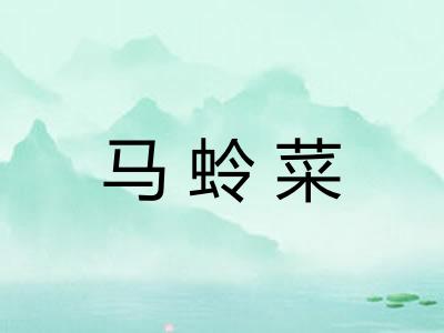 马蛉菜