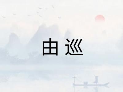 由巡