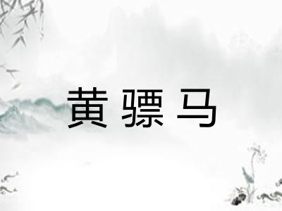 黄骠马