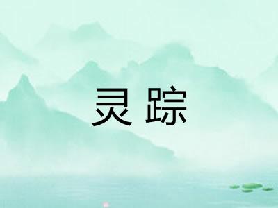 灵踪