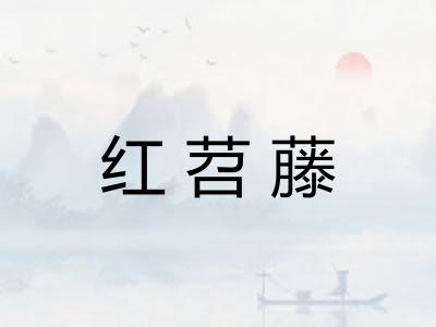 红苕藤
