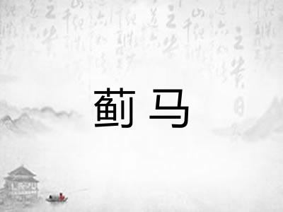 蓟马