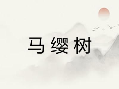 马缨树