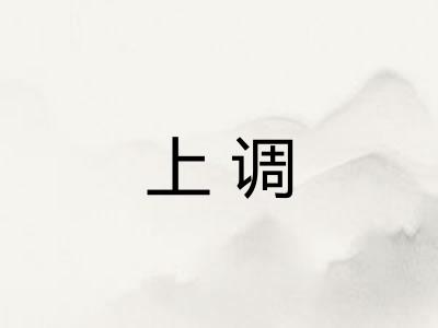 上调