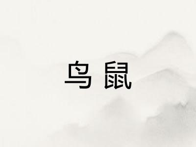 鸟鼠