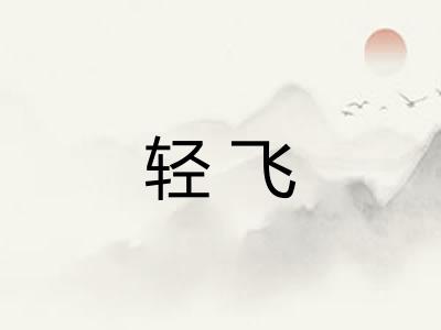 轻飞