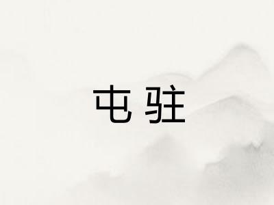屯驻