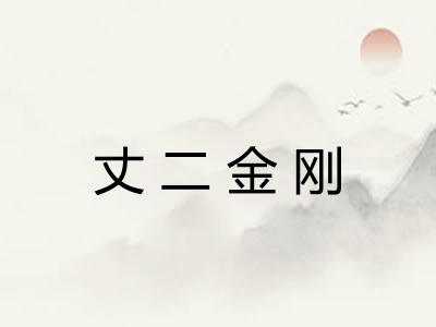 丈二金刚