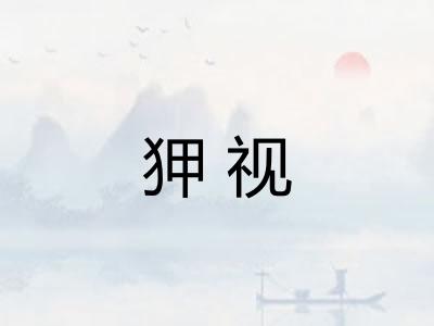 狎视