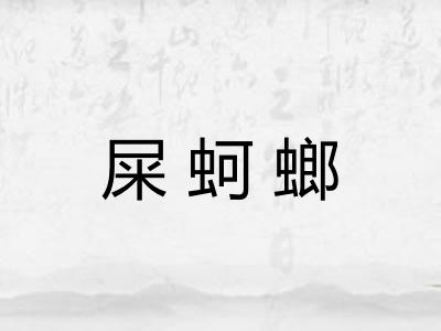 屎蚵螂