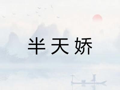 半天娇
