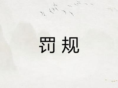 罚规