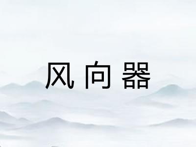 风向器