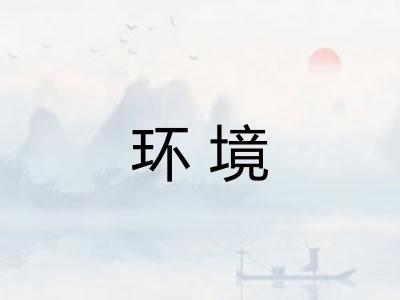 环境