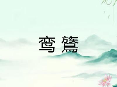 鸾鷟