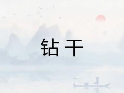 钻干