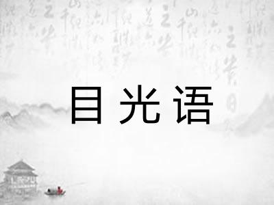 目光语
