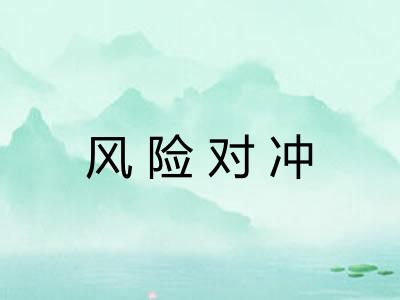 风险对冲