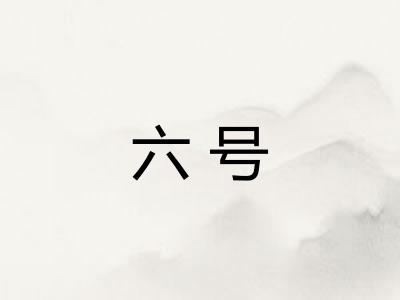 六号