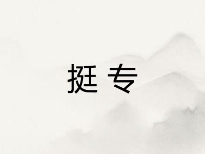 挺专