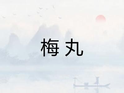 梅丸
