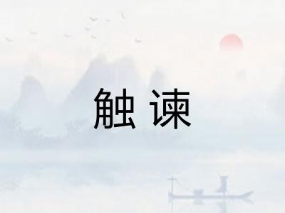 触谏