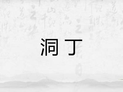 洞丁
