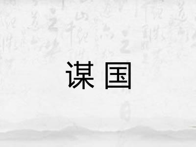 谋国