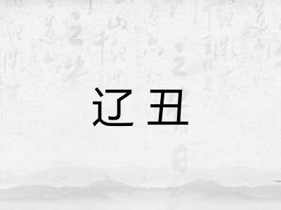 辽丑